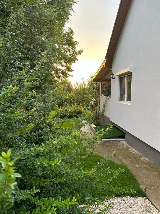 Kisvirag Vendeghaz Βίλα Balatonvilágos Εξωτερικό φωτογραφία